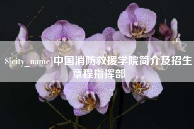 中国台湾中国消防救援学院简介及招生章程指挥部