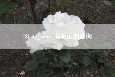中国台湾消防证的查询