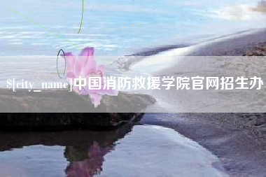 中国台湾中国消防救援学院官网招生办
