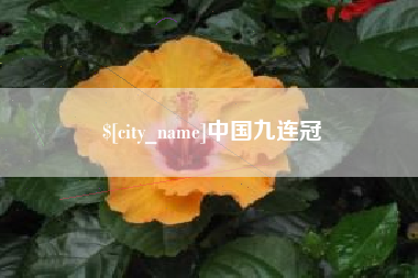 中国台湾中国九连冠