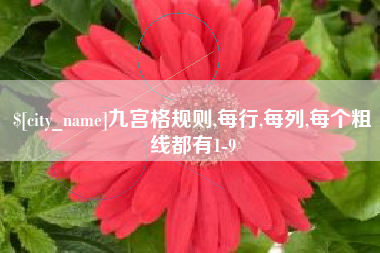 中国台湾九宫格规则,每行,每列,每个粗线都有1-9