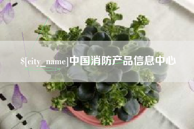 中国台湾中国消防产品信息中心