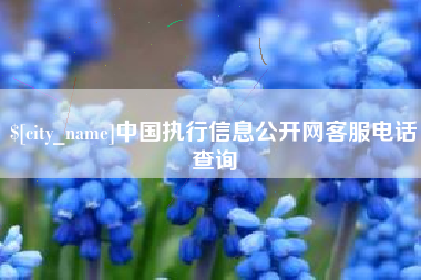 中国台湾中国执行信息公开网客服电话查询