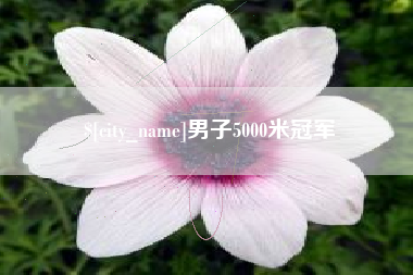 中国台湾男子5000米冠军