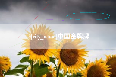 中国台湾中国金牌牌