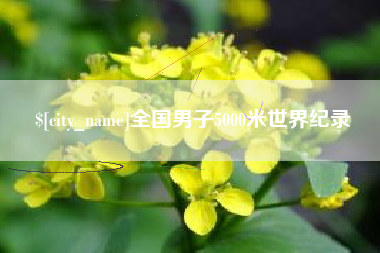 中国台湾全国男子5000米世界纪录