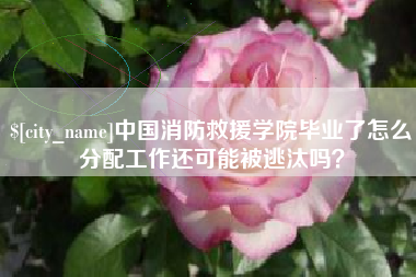 中国台湾中国消防救援学院毕业了怎么分配工作还可能被逃汰吗？