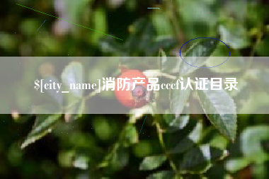 中国台湾消防产品cccf认证目录