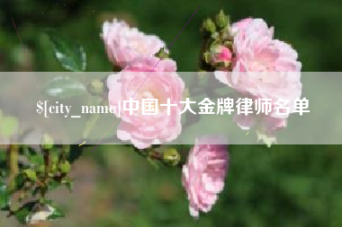 中国台湾中国十大金牌律师名单