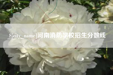 中国台湾河南消防学校招生分数线