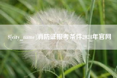 中国台湾消防证报考条件2024年官网