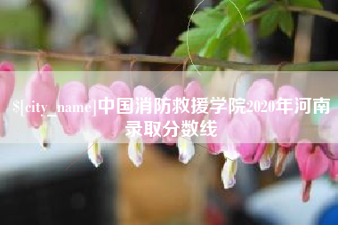 中国台湾中国消防救援学院2020年河南录取分数线