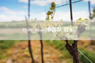 中国台湾中国队 冠军