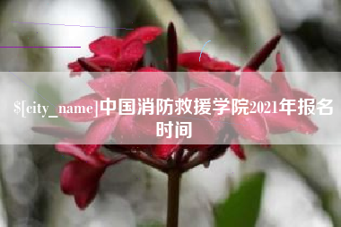 中国台湾中国消防救援学院2021年报名时间