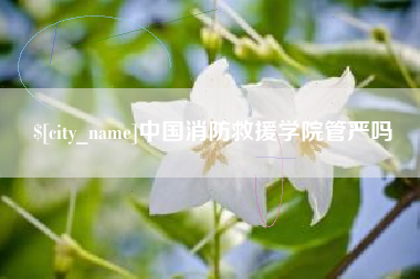 中国台湾中国消防救援学院管严吗