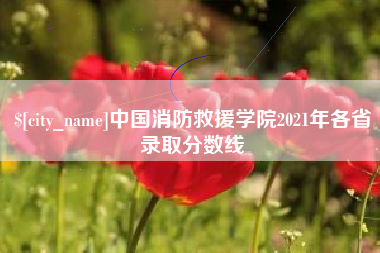 中国台湾中国消防救援学院2021年各省录取分数线