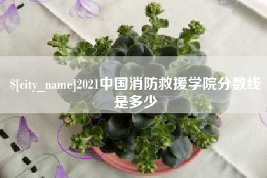 中国台湾2021中国消防救援学院分数线是多少
