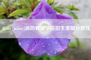 中国台湾消防救援学院招生录取分数线