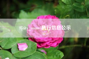 中国台湾执行信息公示