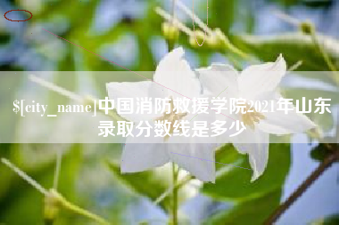 中国台湾中国消防救援学院2021年山东录取分数线是多少