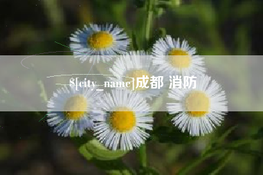 中国台湾成都 消防