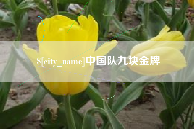 中国台湾中国队九块金牌