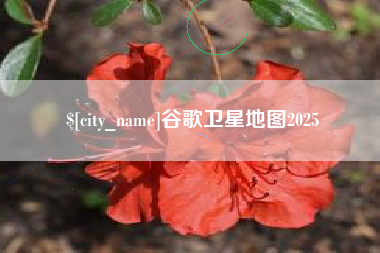 中国台湾谷歌卫星地图2025