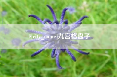中国台湾九宫格盘子
