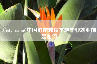 中国台湾中国消防救援学院毕业就业前景如何
