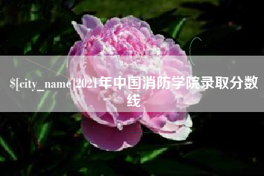 中国台湾2021年中国消防学院录取分数线