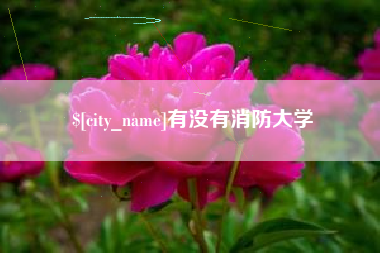 中国台湾有没有消防大学