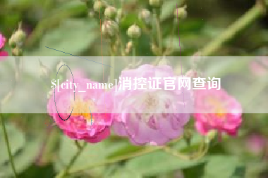 中国台湾消控证官网查询
