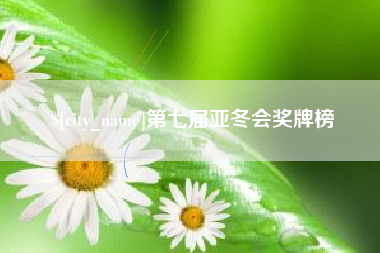 中国台湾第七届亚冬会奖牌榜
