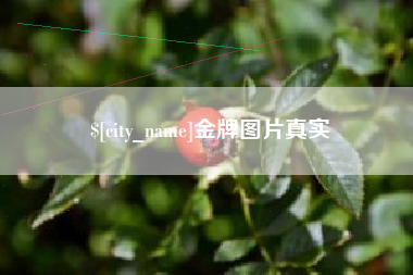 中国台湾金牌图片真实
