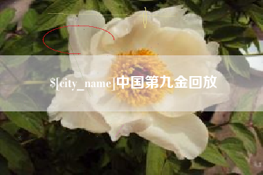 中国台湾中国第九金回放