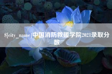 中国台湾中国消防救援学院2021录取分数