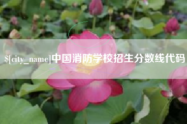 中国台湾中国消防学校招生分数线代码
