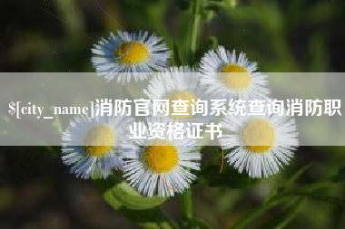 中国台湾消防官网查询系统查询消防职业资格证书