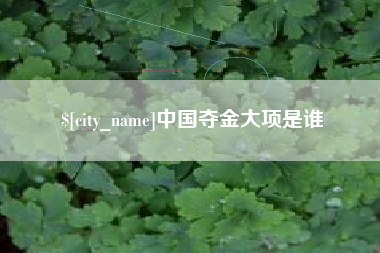 中国台湾中国夺金大项是谁
