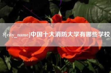 中国台湾中国十大消防大学有哪些学校
