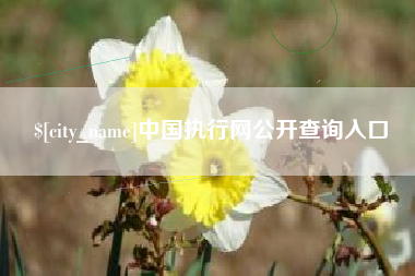中国台湾中国执行网公开查询入口