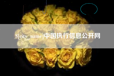中国台湾中国执行信息公开网