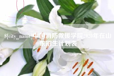 中国台湾中国消防救援学院2020年在山东招生计划表