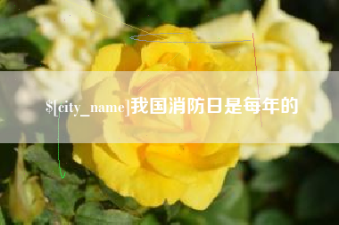 中国台湾我国消防日是每年的