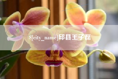中国台湾邱县王子磊