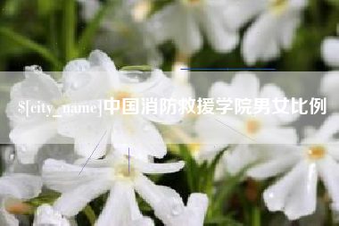 中国台湾中国消防救援学院男女比例
