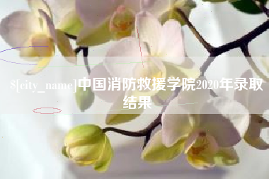 中国台湾中国消防救援学院2020年录取结果