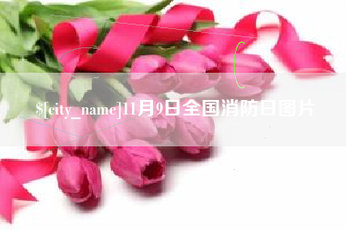 中国台湾11月9日全国消防日图片