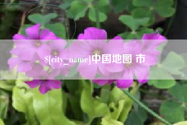 中国台湾中国地图 市