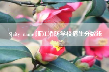 中国台湾浙江消防学校招生分数线